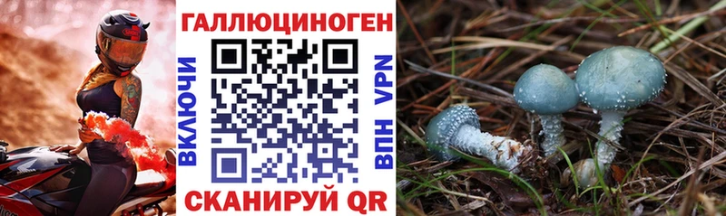 Купить где  Кумертау  Псилоцибиновые грибы MAGIC MUSHROOMS 